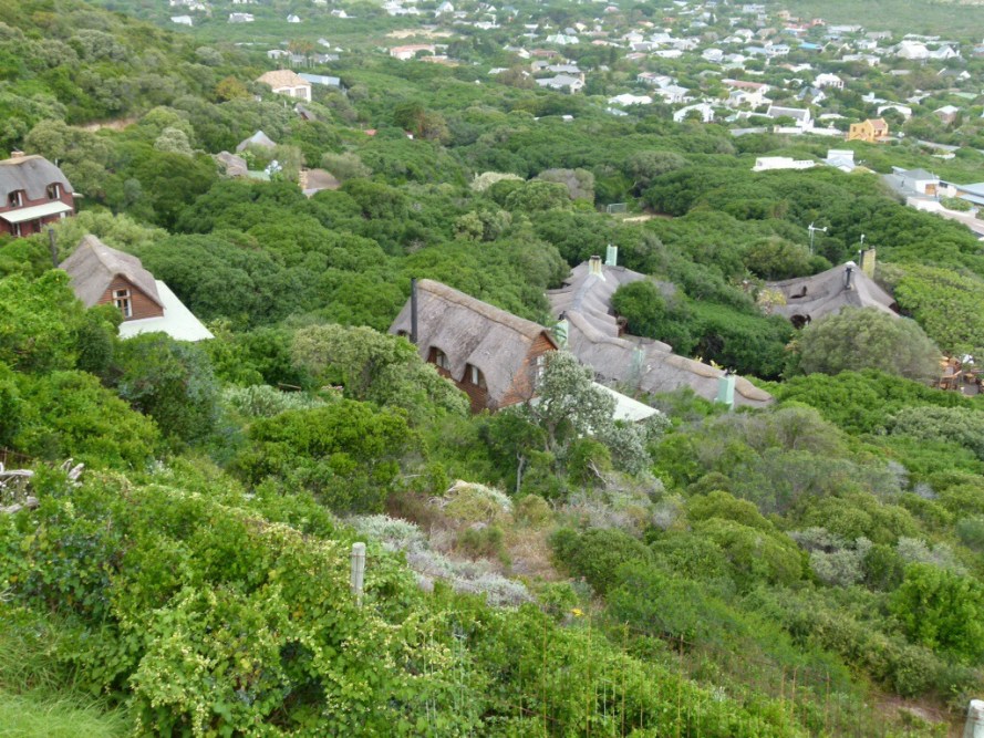 20131111-233445.jpg