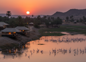 Chhatra Sagar luxury tents on dam Rajasthan India, wetlands with birds at sunset, flamingos and egrets, desert oasis, warm golden light, cinematic travel photography